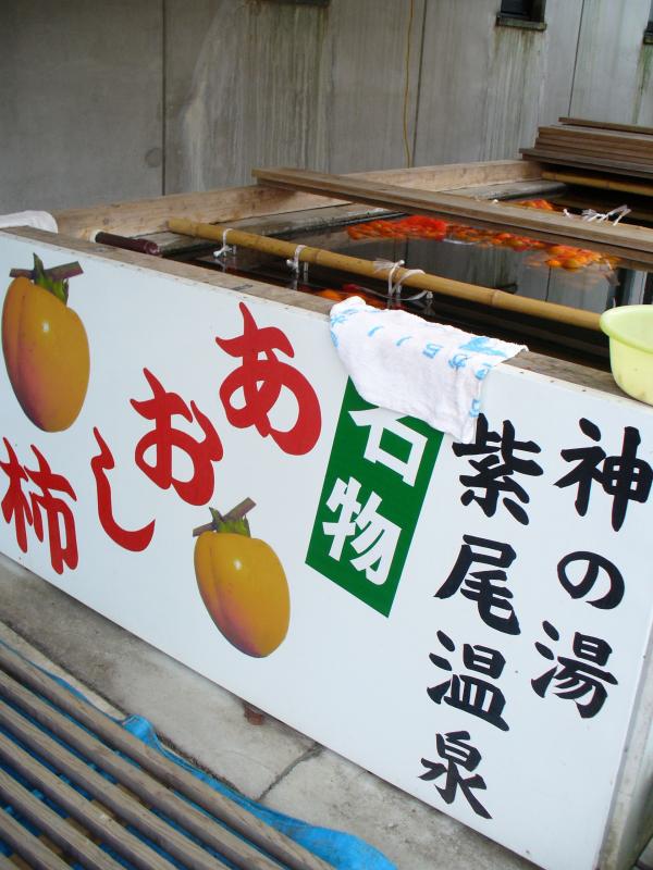紫尾区営大衆浴場のあおし柿専用の漬け場側面にある、神の湯紫尾温泉、名物あおし柿と書かれた看板の写真