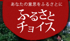あなたの意思をふるさとに ふるさとチョイスのバナー画像