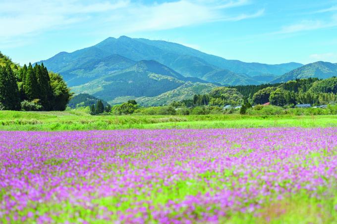 紫尾山