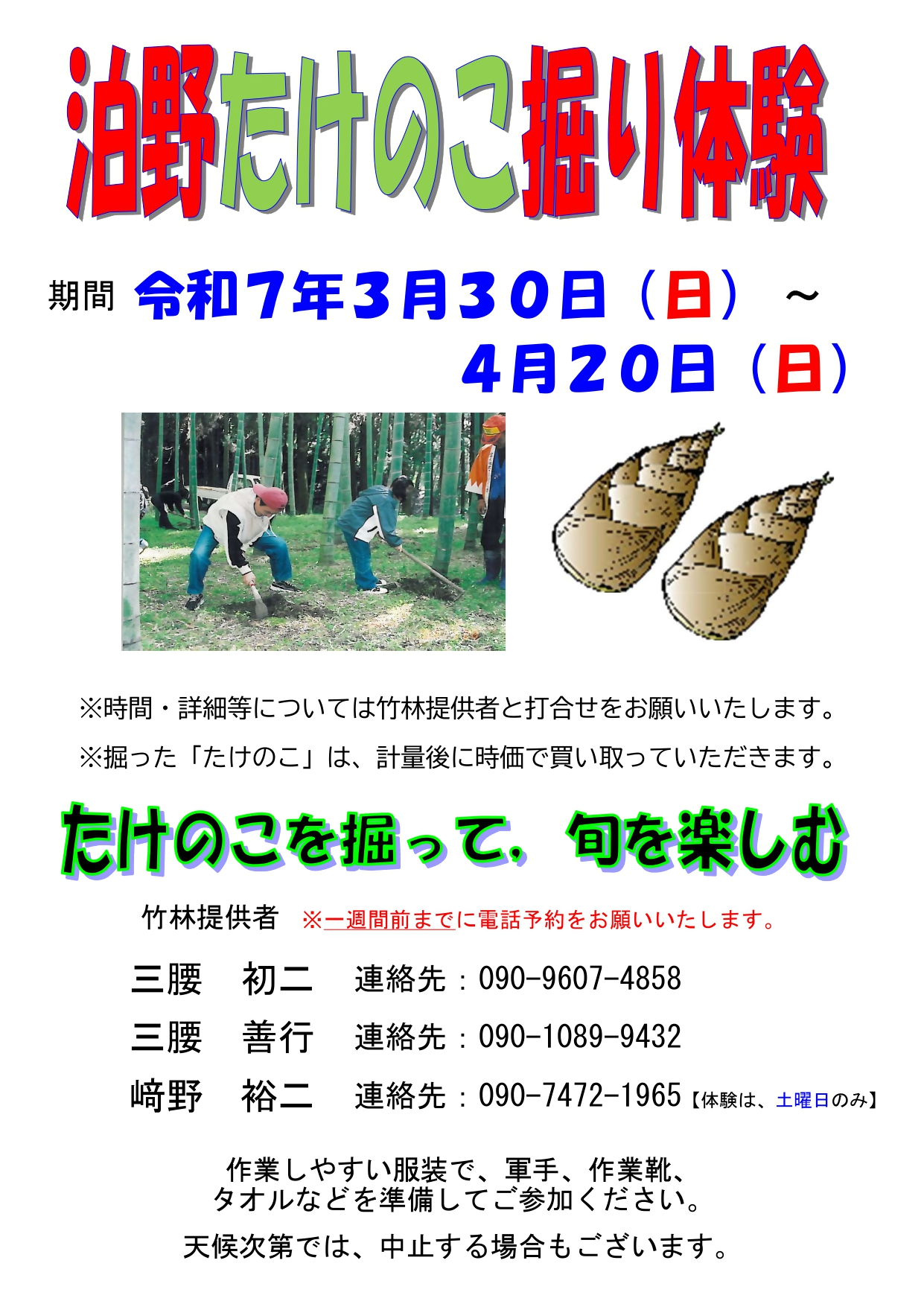 泊野たけのこ体験