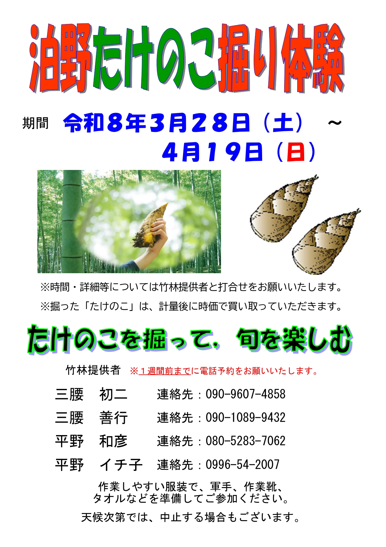 泊野たけのこ掘り体験