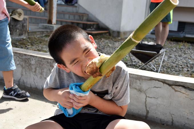 竹に巻き付いた焼きたてのパンをかじる男の子の写真