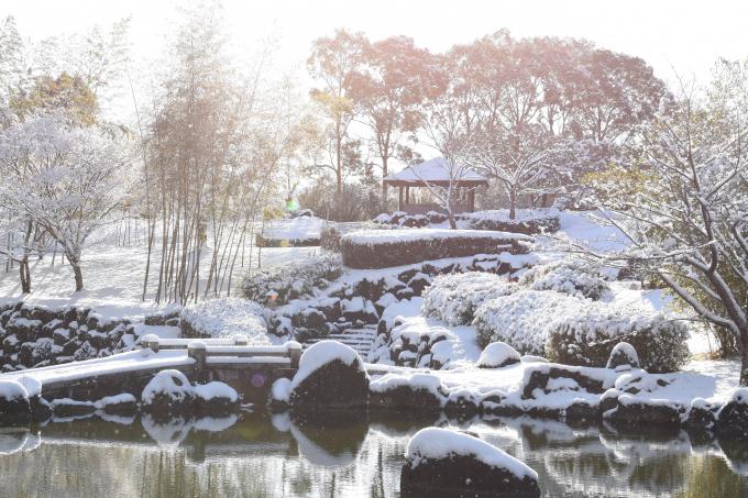 雪の積もった北薩広域公園の写真