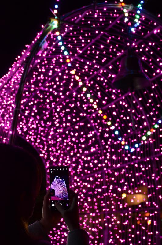 ハートのイルミネーションをスマートフォンで撮影している人の写真
