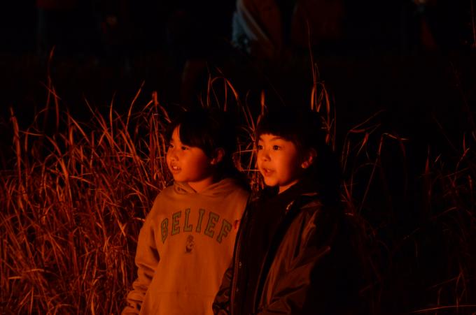 焚き火の灯りを見る男の子の写真