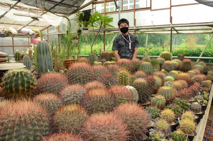 並んだサボテンの後ろに立った男性の写真