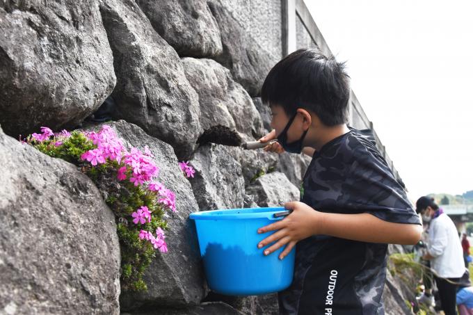 バケツを手に岩の隙間に土をスコップで差し込む男の子の写真