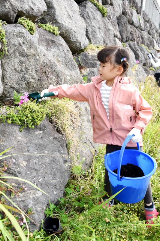 岩の隙間にスコップで土を入れる女の子の写真