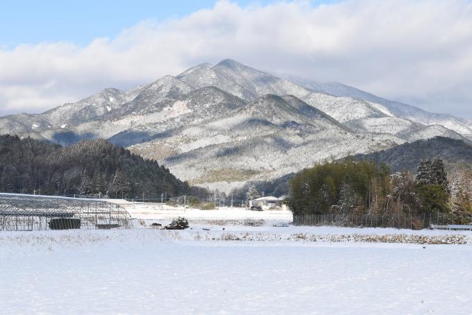 雪の紫尾山を下から見上げた写真