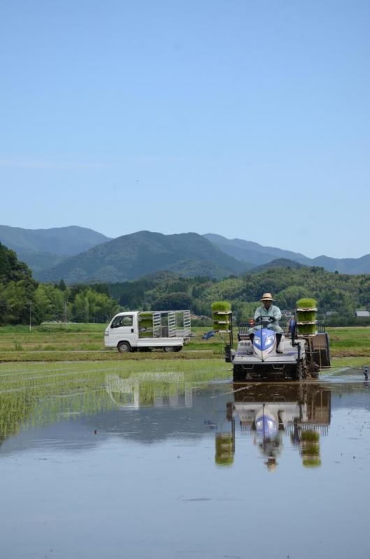 青空のもと、田植えをするトラクターを前から見た写真