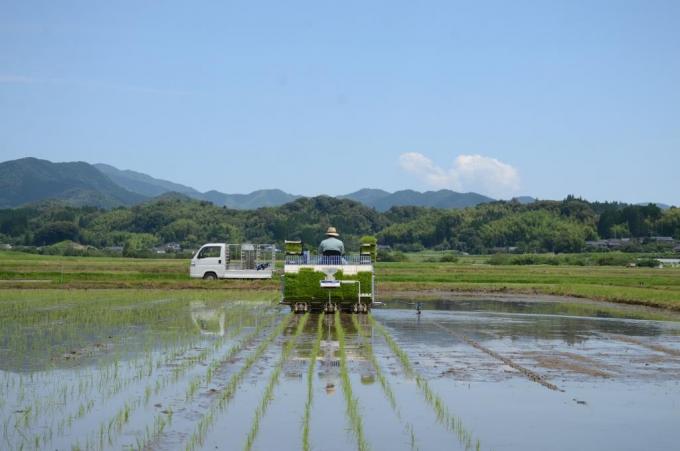 青空のもと、田植えをするトラクターを後ろから見た写真