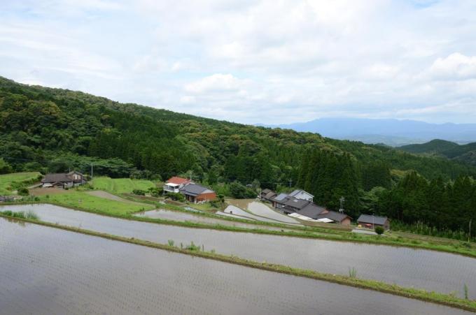 昼の棚田を上から見下ろした写真
