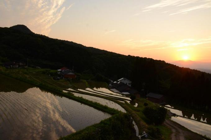 夕陽に照らされる棚田の写真