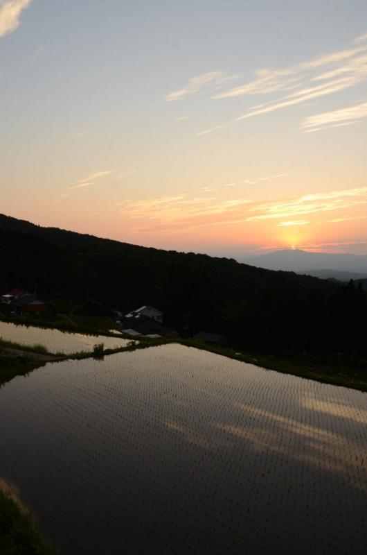 夕陽に照らされる棚田の写真