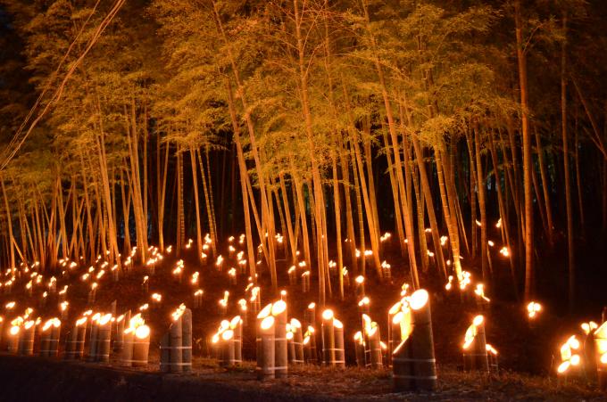 イベント開催時に竹林に設置された、竹灯籠の写真