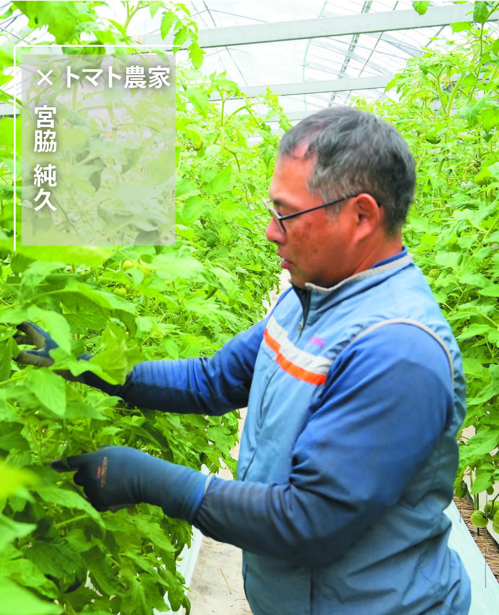 さつま×しごと1月号の画像
