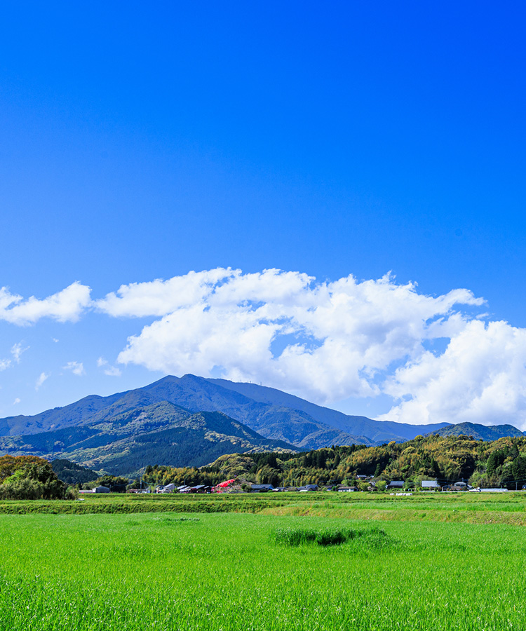 紫尾山の写真（縦）