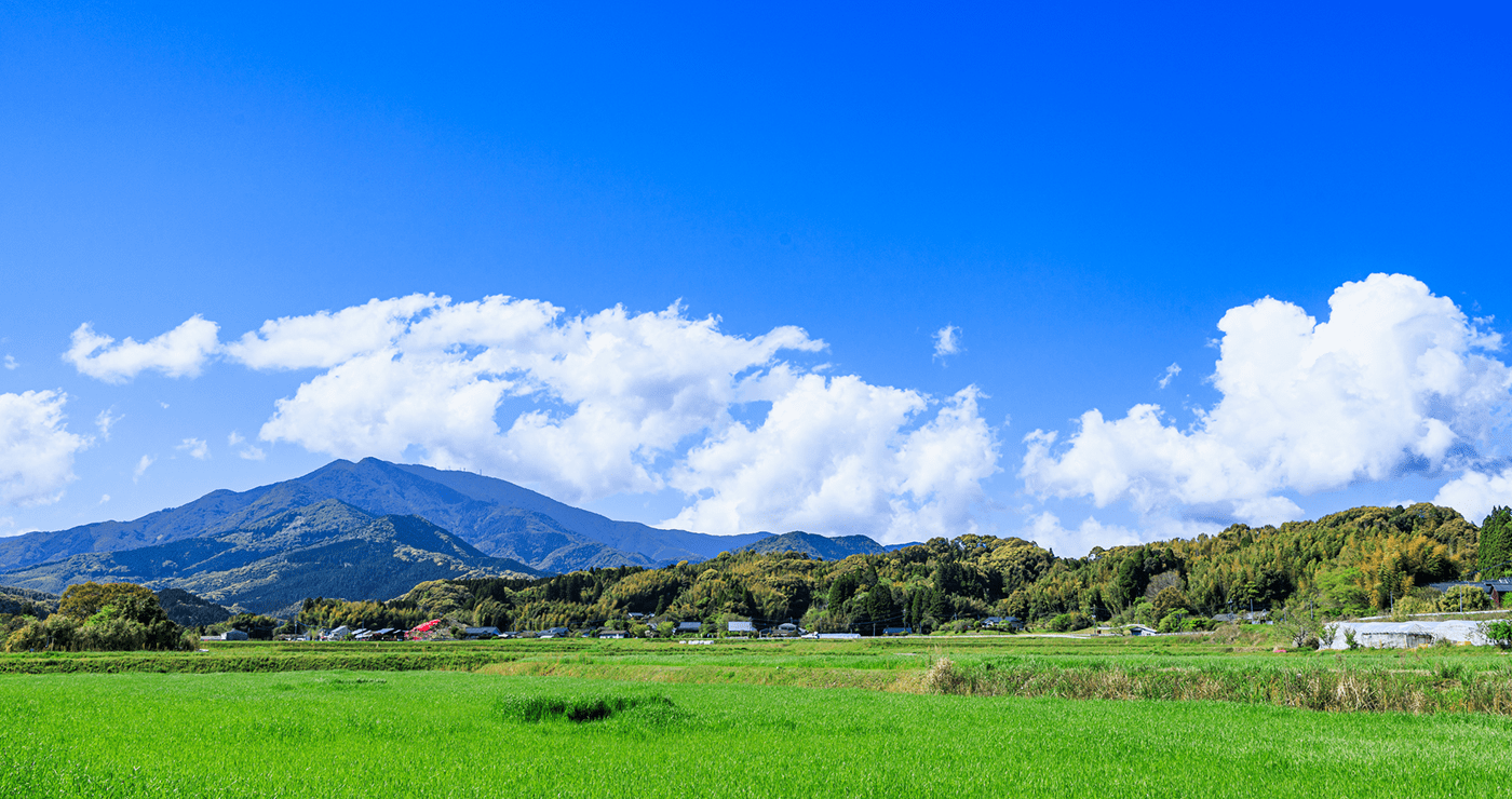 紫尾山の写真