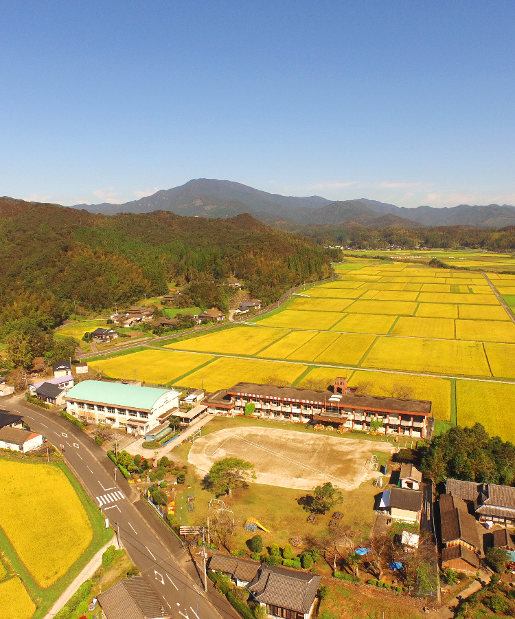 紫尾山の写真（縦）