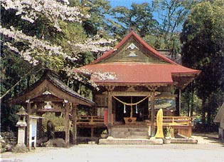 桜の咲く紫尾神社を前から見た写真