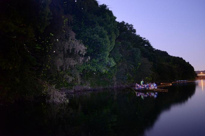 夜の二渡水辺公園をホタル舟が運航している様子の写真