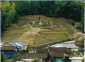 安養院年行寺跡を上空から見た写真