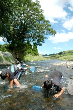 網を持って川の水の中を探す子供たちの写真