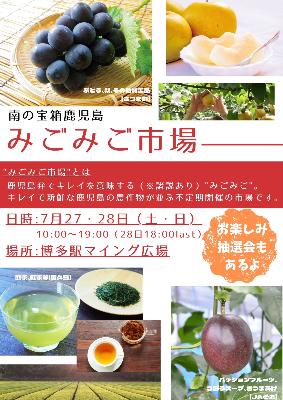 チラシ