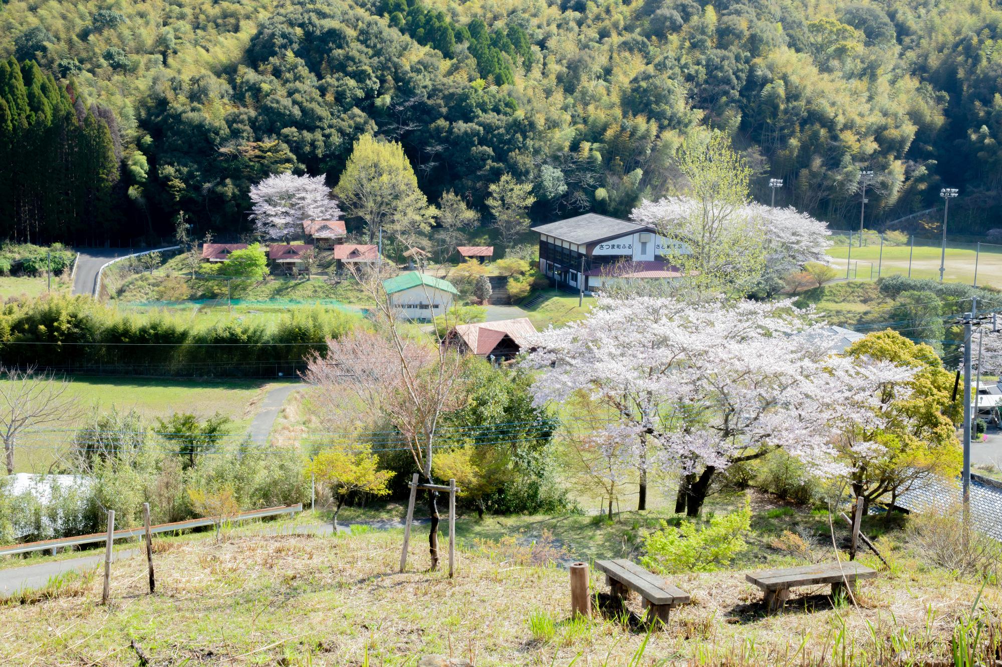 神の湯キャンプ場全景