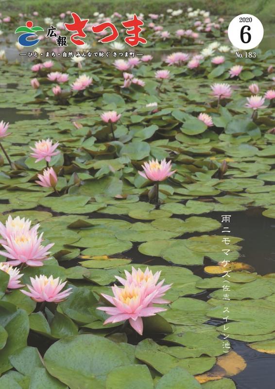 広報さつま6月号表紙の画像