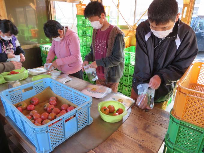 農産物の出荷請負作業の様子の写真