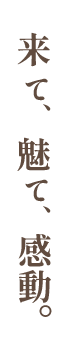 来て、魅て、感動。